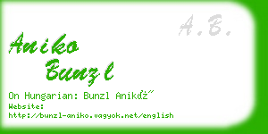 aniko bunzl business card